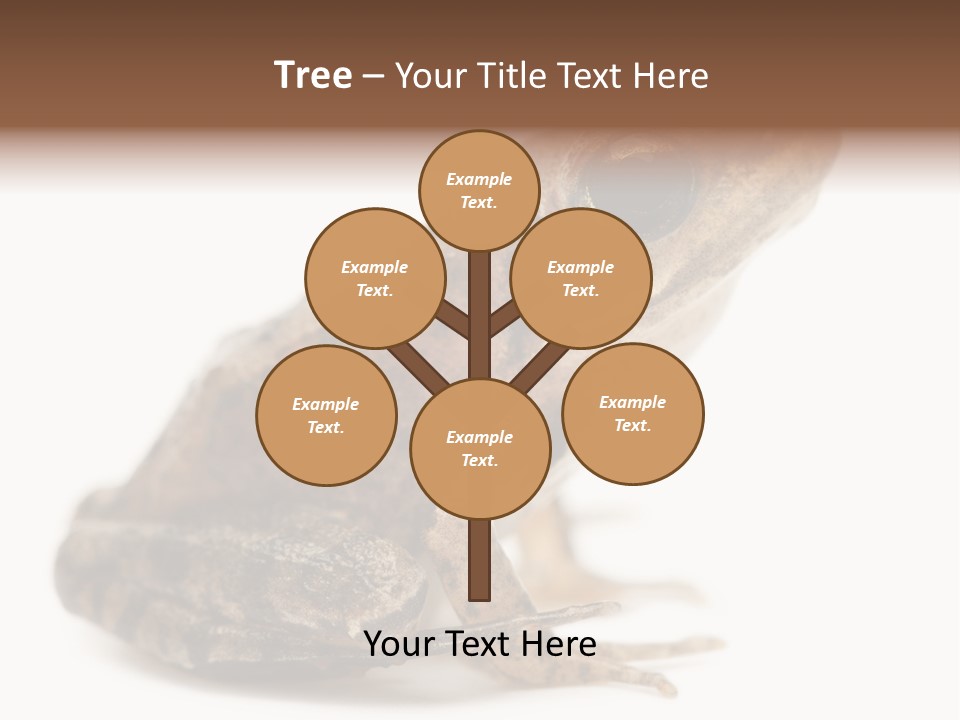 Rana Temporaria Wild Wild Animal PowerPoint Template