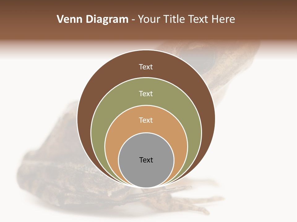 Rana Temporaria Wild Wild Animal PowerPoint Template