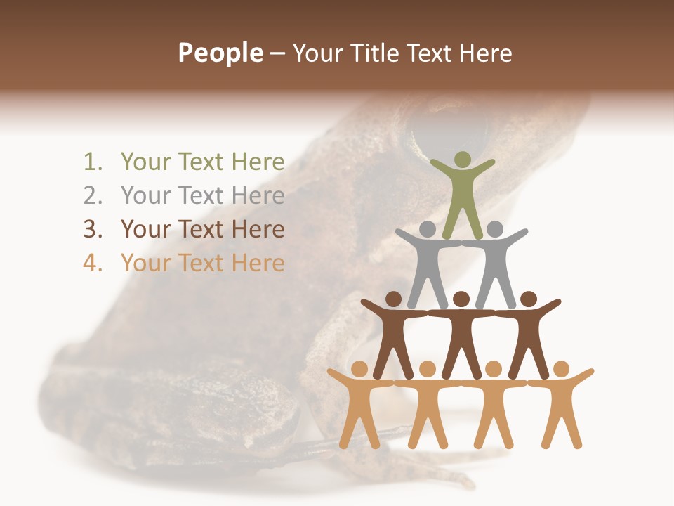 Rana Temporaria Wild Wild Animal PowerPoint Template