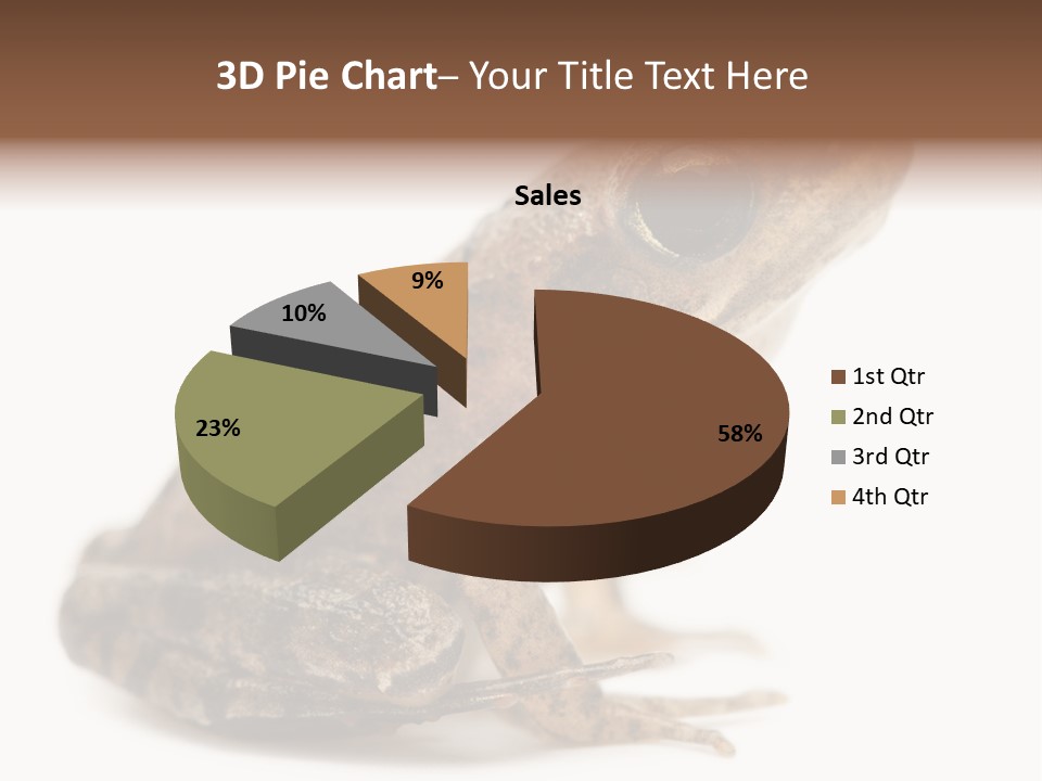 Rana Temporaria Wild Wild Animal PowerPoint Template