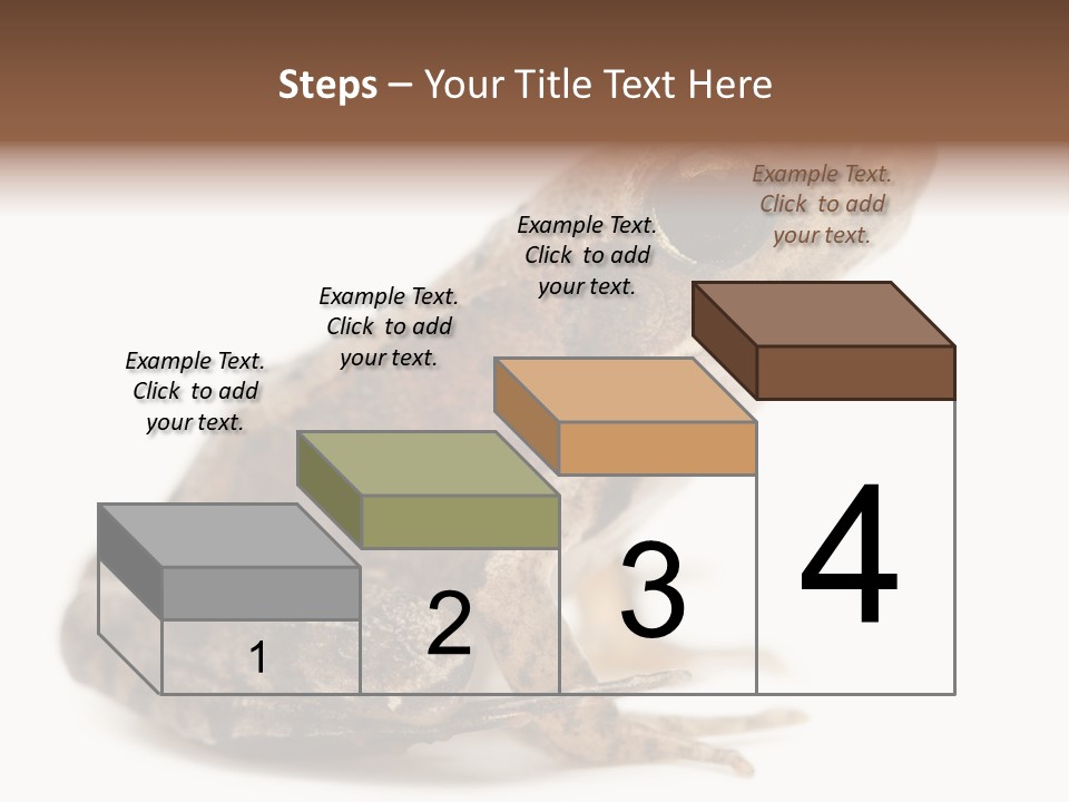 Rana Temporaria Wild Wild Animal PowerPoint Template