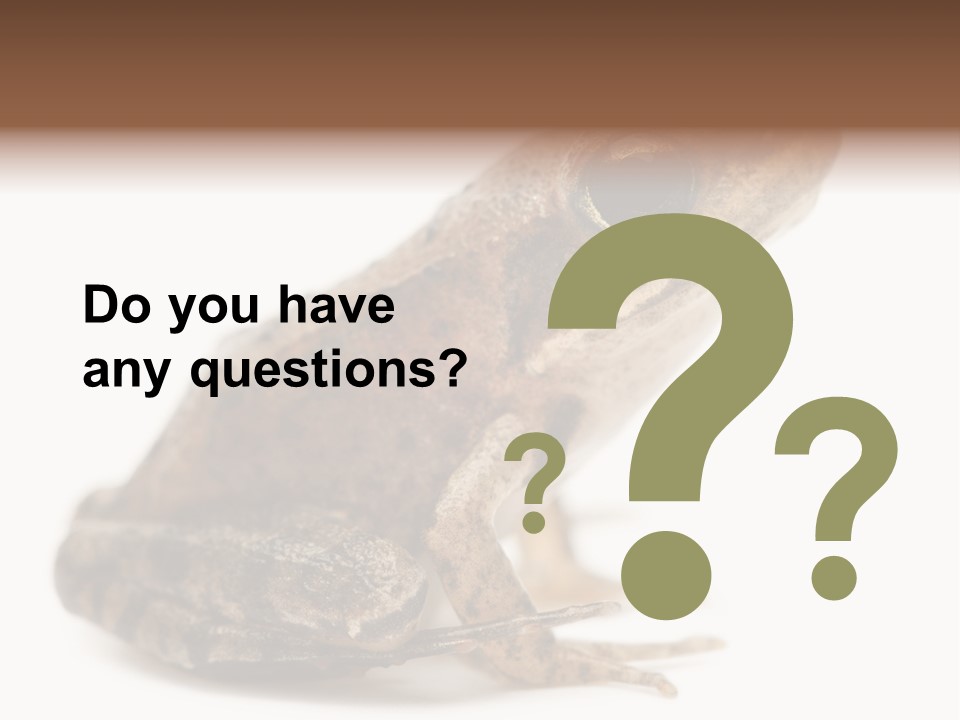 Rana Temporaria Wild Wild Animal PowerPoint Template