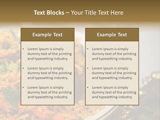 Spicy Gourmet Closeup PowerPoint Template