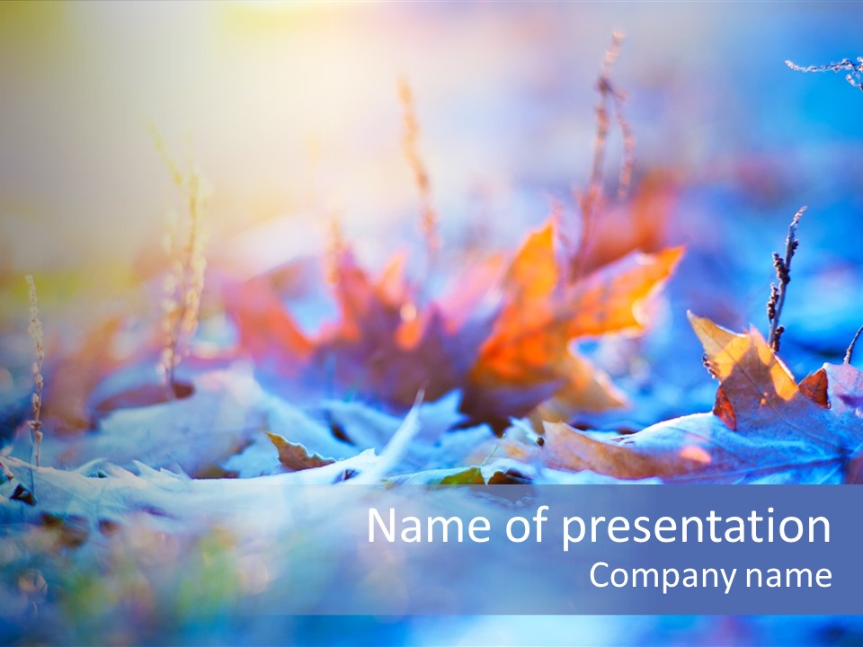 Beautiful Color Fall PowerPoint Template