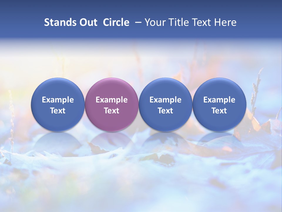 Beautiful Color Fall PowerPoint Template