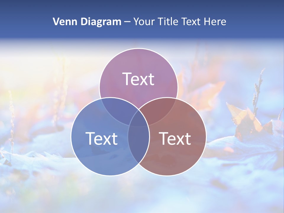 Beautiful Color Fall PowerPoint Template