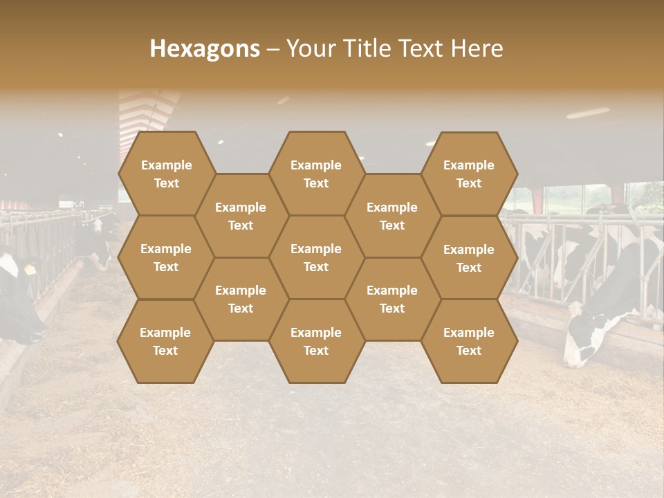 White Nature Domestic PowerPoint Template