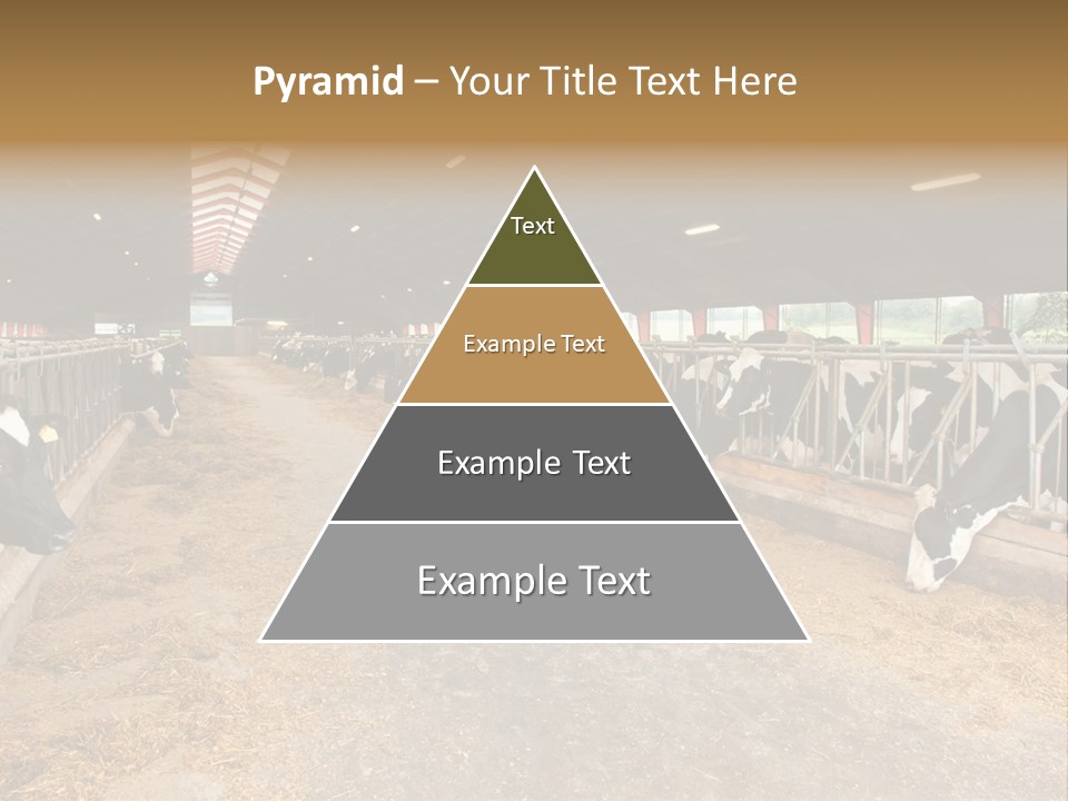 White Nature Domestic PowerPoint Template