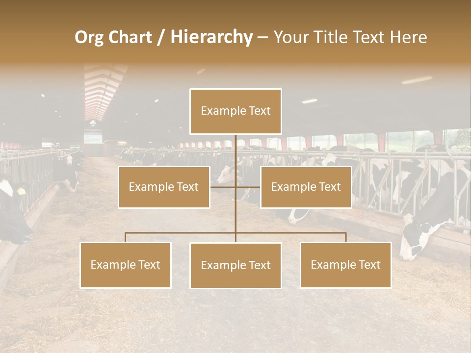 White Nature Domestic PowerPoint Template