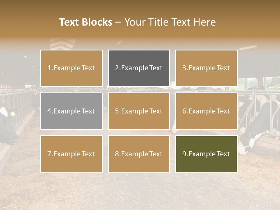 White Nature Domestic PowerPoint Template