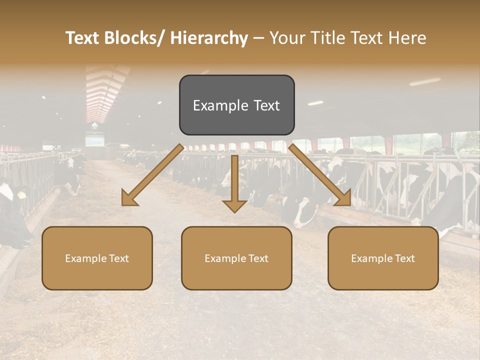 White Nature Domestic PowerPoint Template