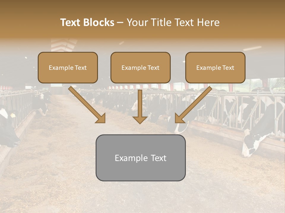 White Nature Domestic PowerPoint Template