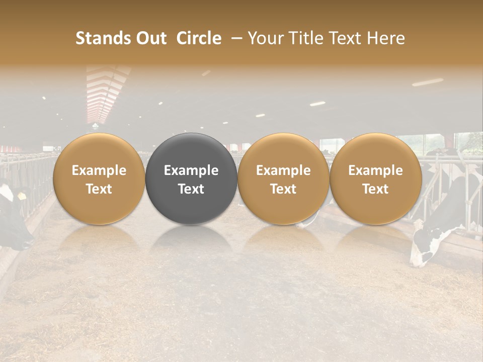 White Nature Domestic PowerPoint Template