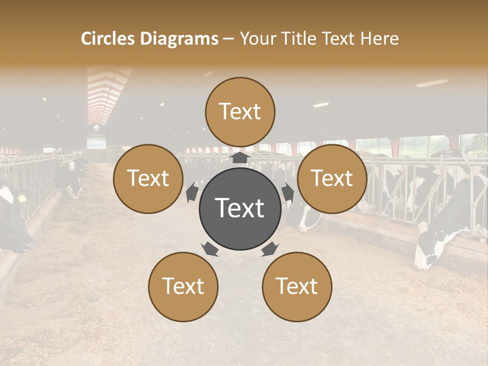 White Nature Domestic PowerPoint Template