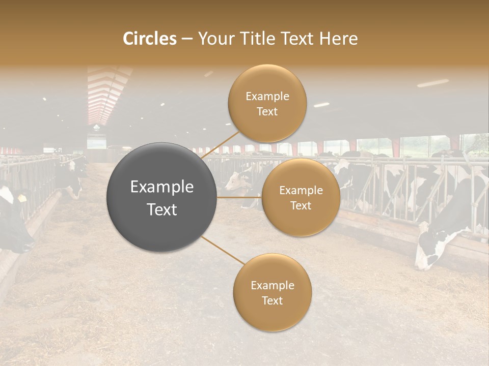 White Nature Domestic PowerPoint Template