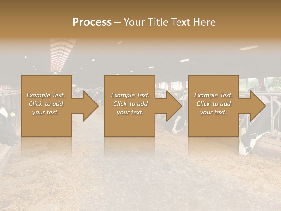 White Nature Domestic PowerPoint Template