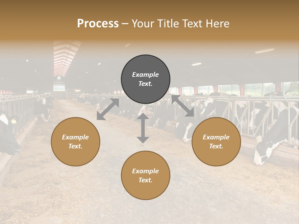 White Nature Domestic PowerPoint Template