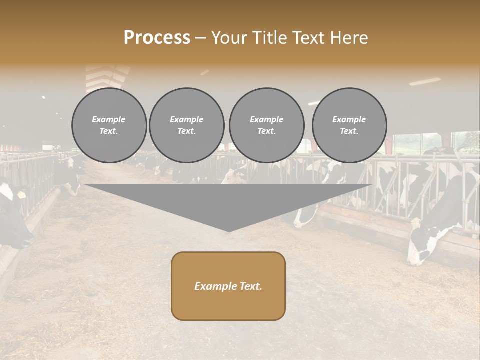 White Nature Domestic PowerPoint Template