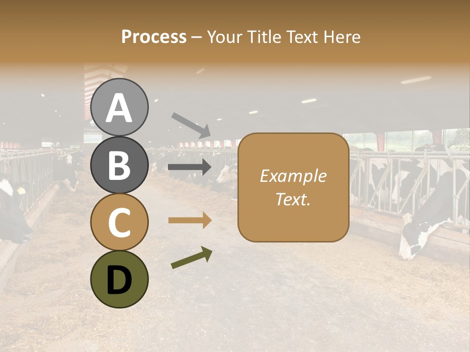 White Nature Domestic PowerPoint Template