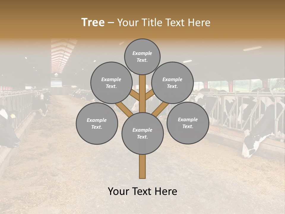 White Nature Domestic PowerPoint Template