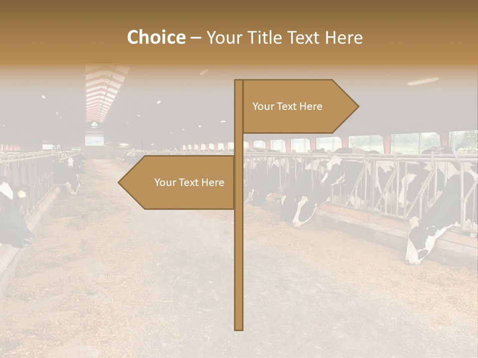 White Nature Domestic PowerPoint Template