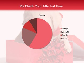 Labrador Dog Little PowerPoint Template