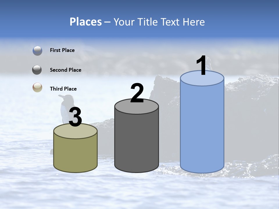 Curiosity Indigenous Bird PowerPoint Template