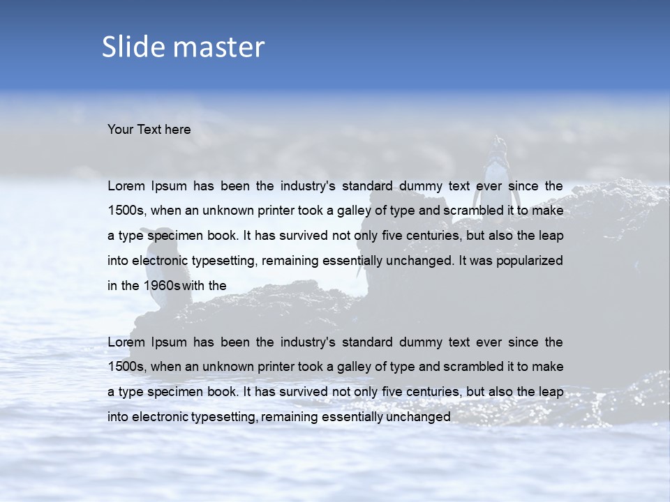 Curiosity Indigenous Bird PowerPoint Template