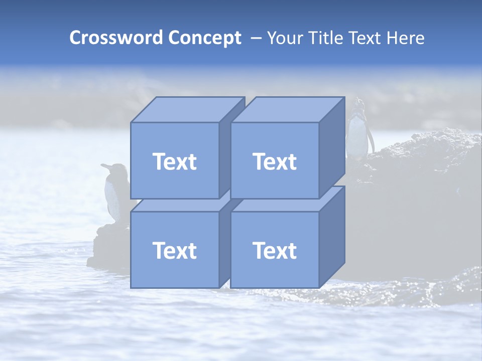 Curiosity Indigenous Bird PowerPoint Template