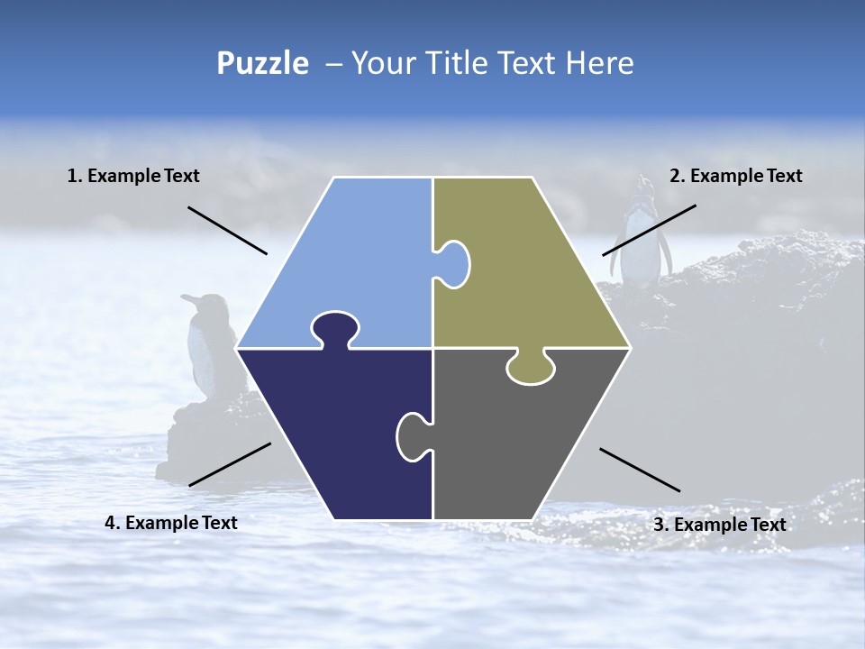 Curiosity Indigenous Bird PowerPoint Template