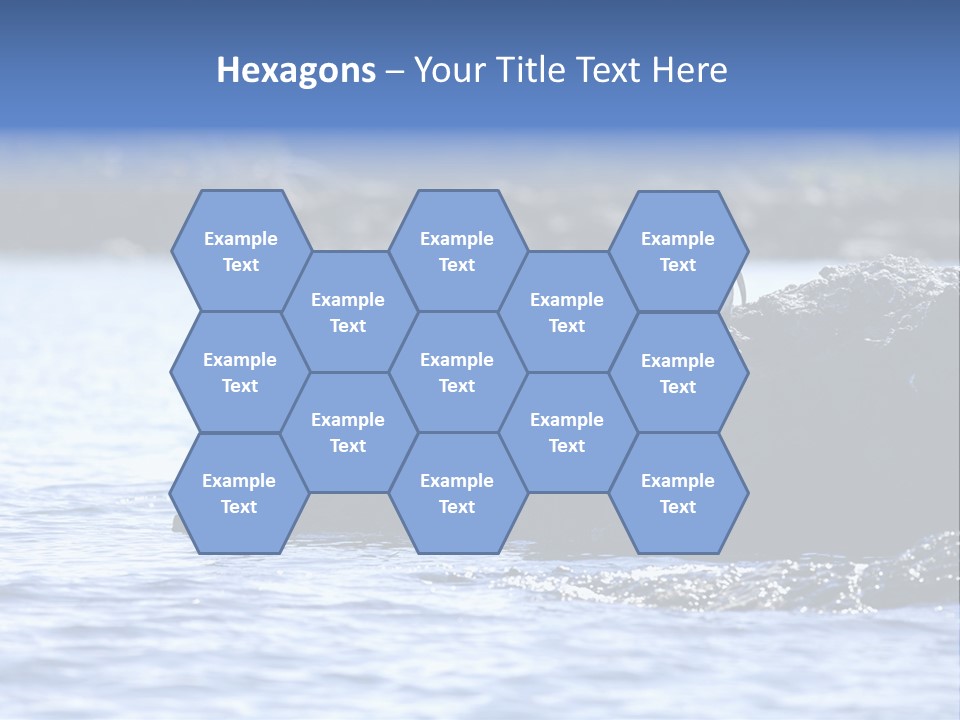 Curiosity Indigenous Bird PowerPoint Template