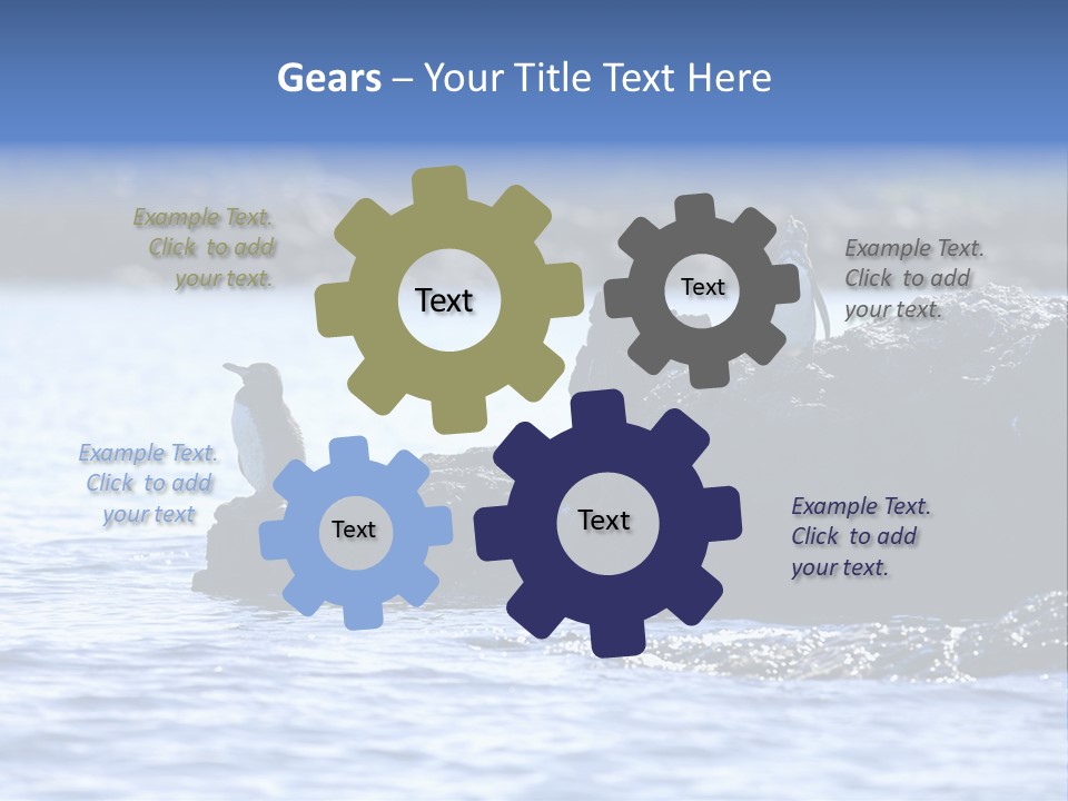 Curiosity Indigenous Bird PowerPoint Template