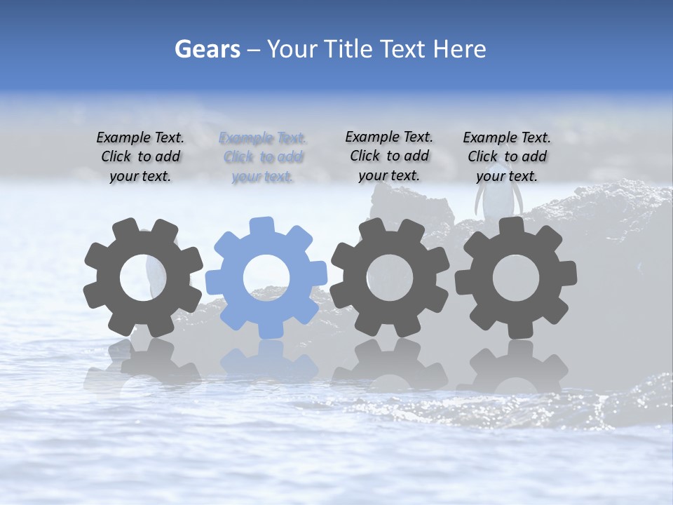 Curiosity Indigenous Bird PowerPoint Template