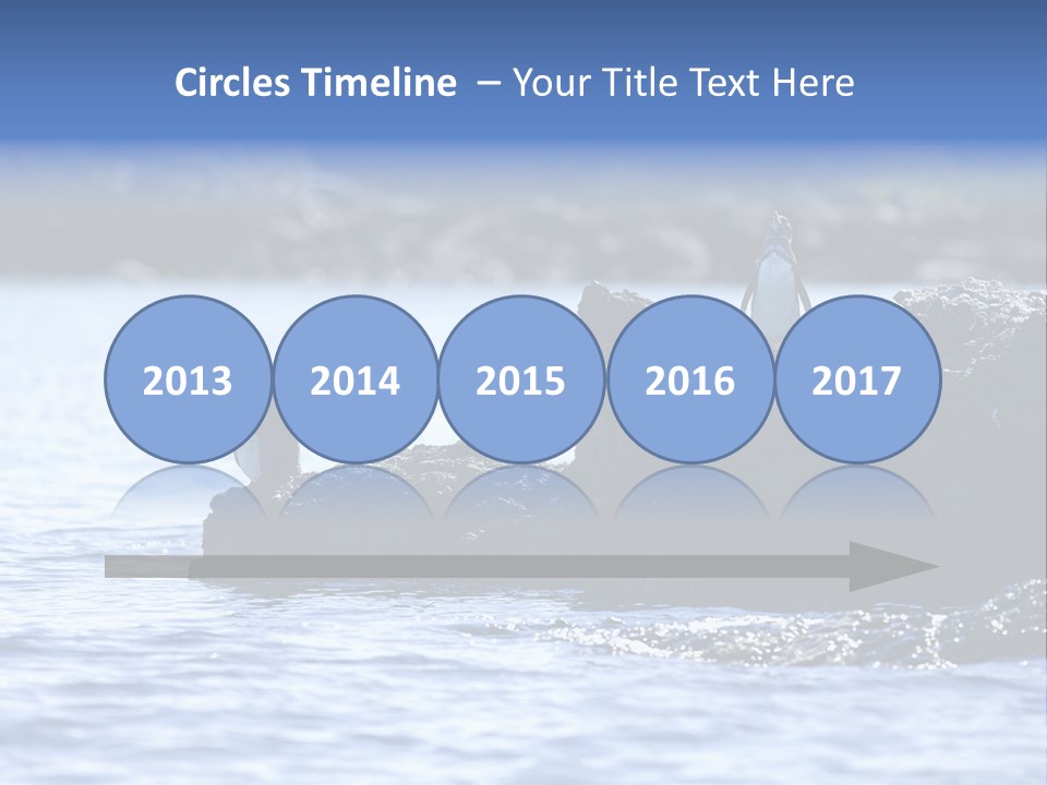 Curiosity Indigenous Bird PowerPoint Template