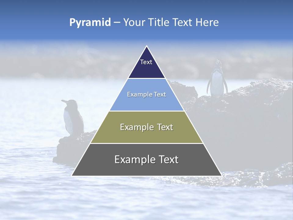 Curiosity Indigenous Bird PowerPoint Template