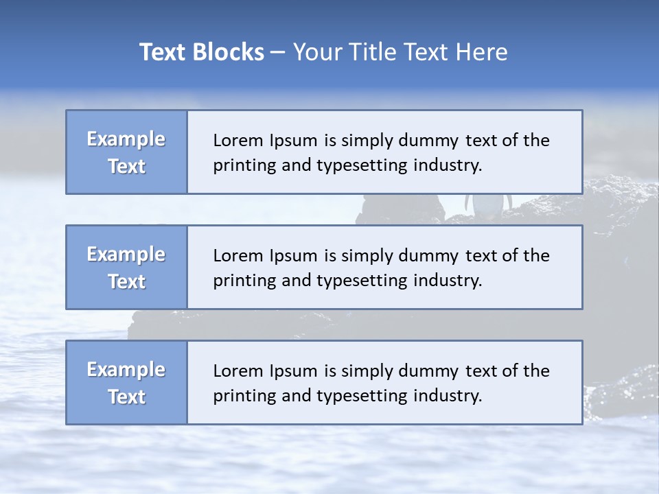 Curiosity Indigenous Bird PowerPoint Template
