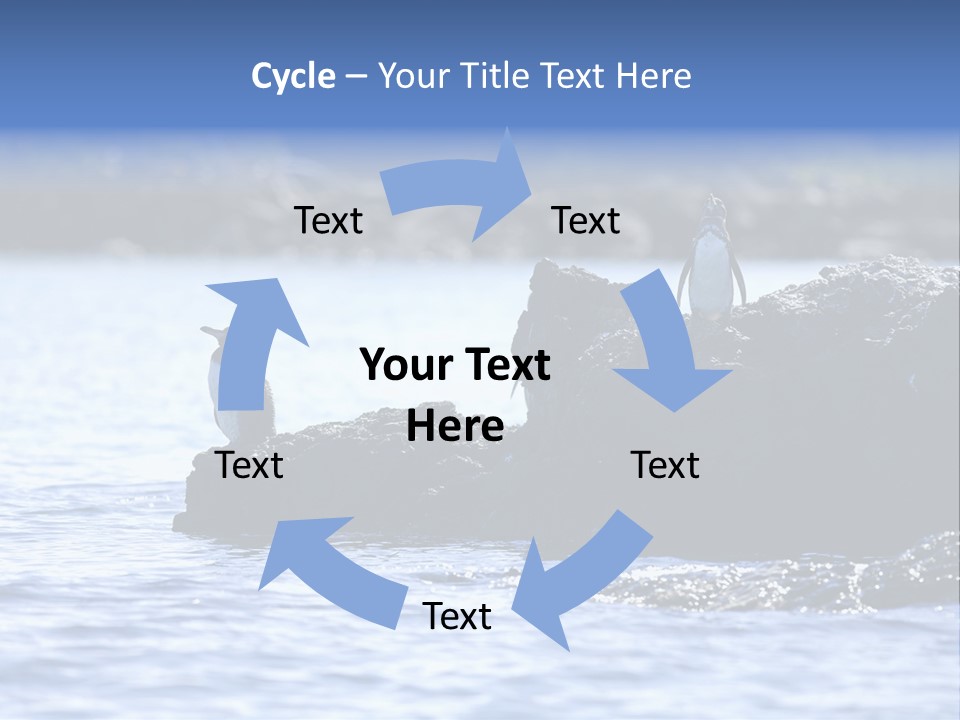 Curiosity Indigenous Bird PowerPoint Template