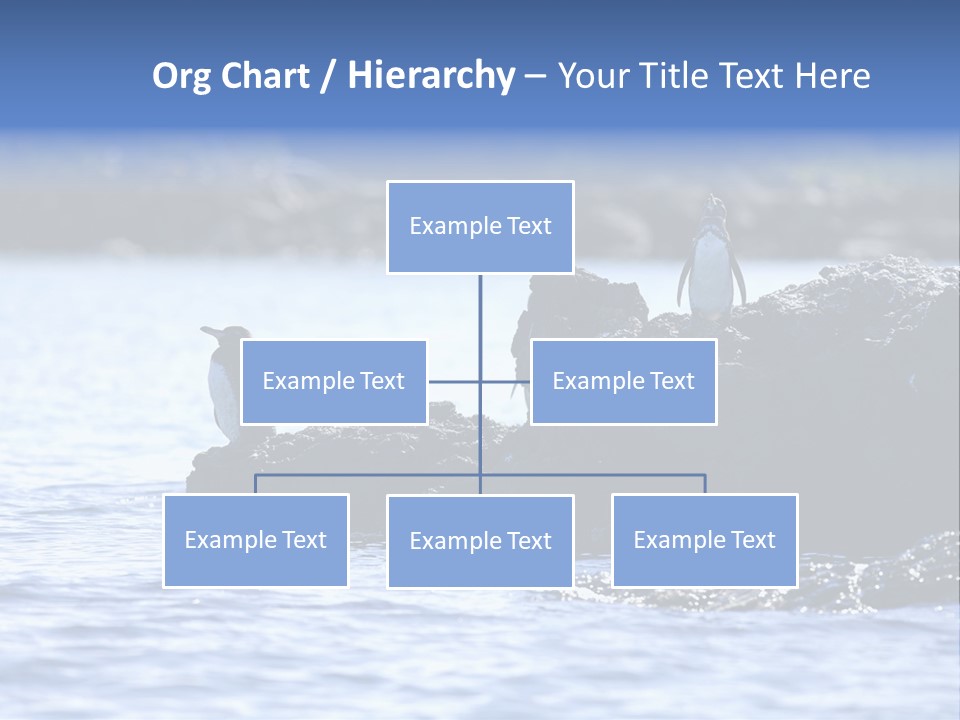 Curiosity Indigenous Bird PowerPoint Template