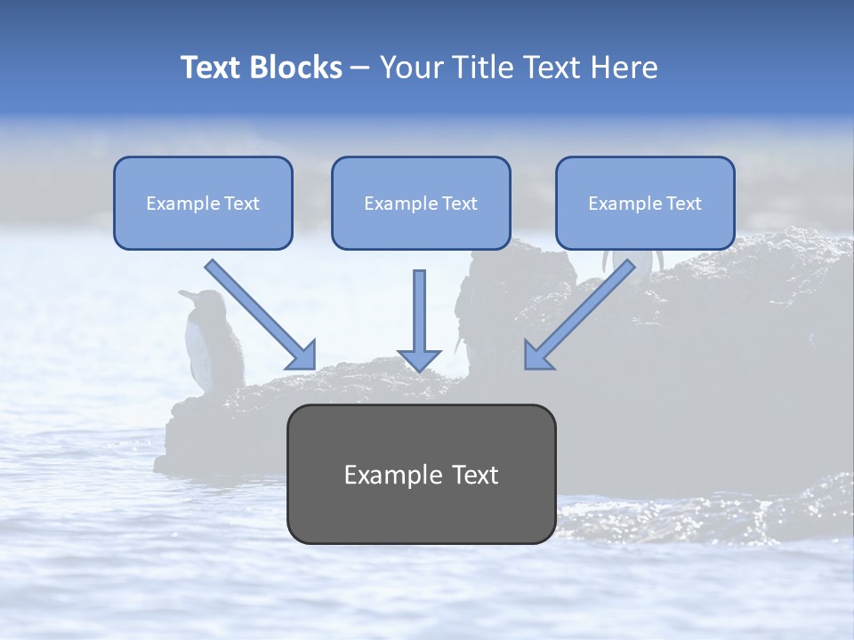 Curiosity Indigenous Bird PowerPoint Template