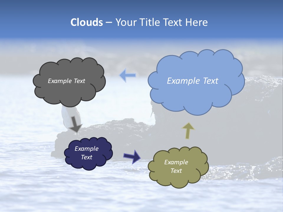 Curiosity Indigenous Bird PowerPoint Template