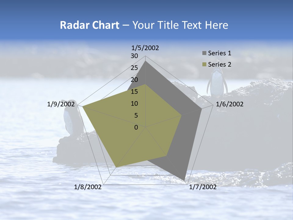 Curiosity Indigenous Bird PowerPoint Template