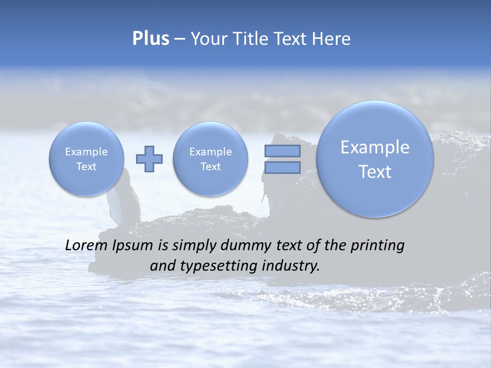 Curiosity Indigenous Bird PowerPoint Template