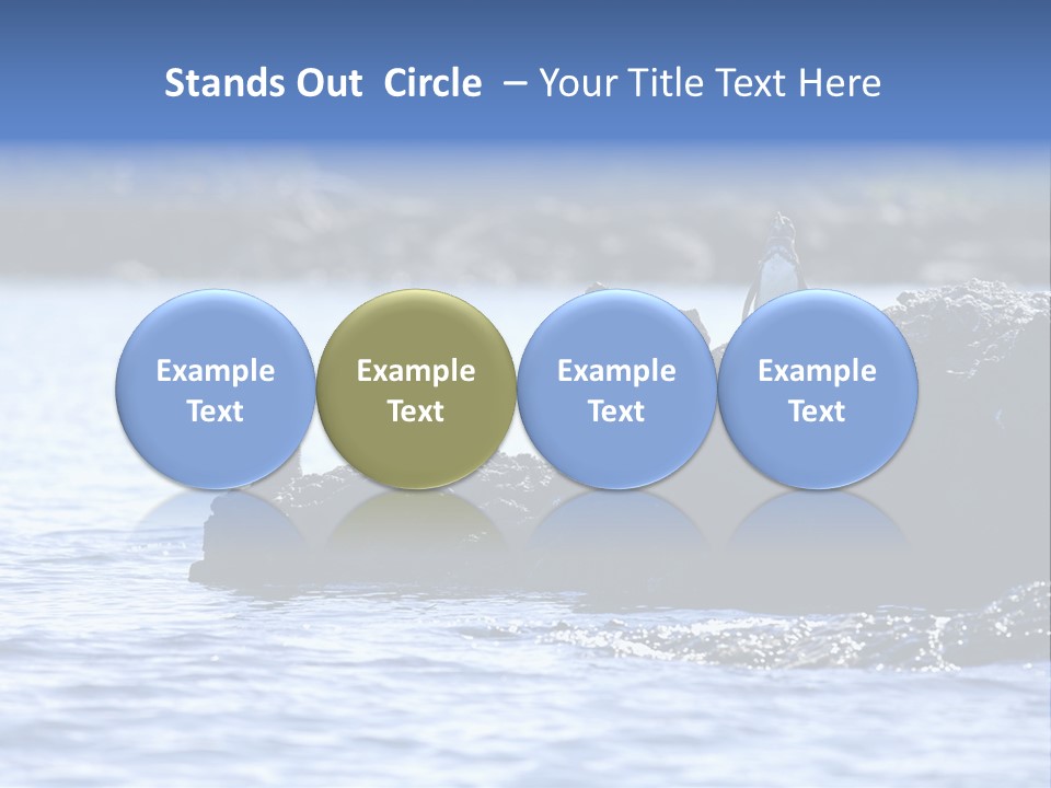 Curiosity Indigenous Bird PowerPoint Template