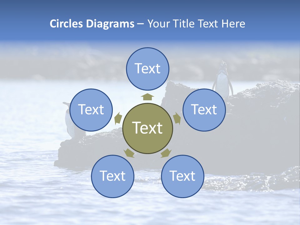 Curiosity Indigenous Bird PowerPoint Template