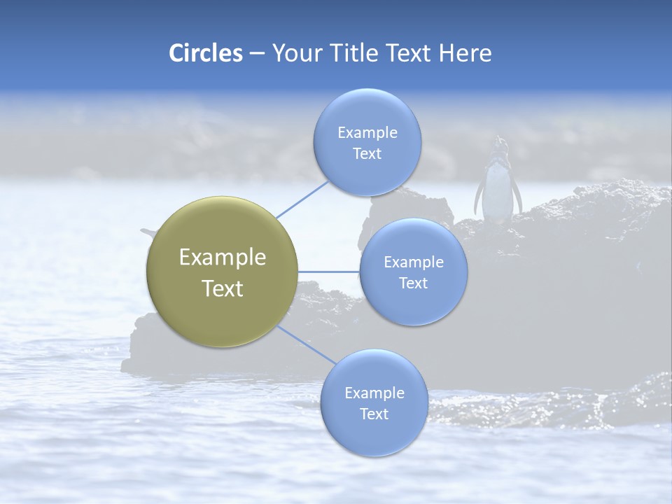 Curiosity Indigenous Bird PowerPoint Template