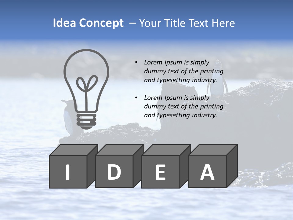 Curiosity Indigenous Bird PowerPoint Template