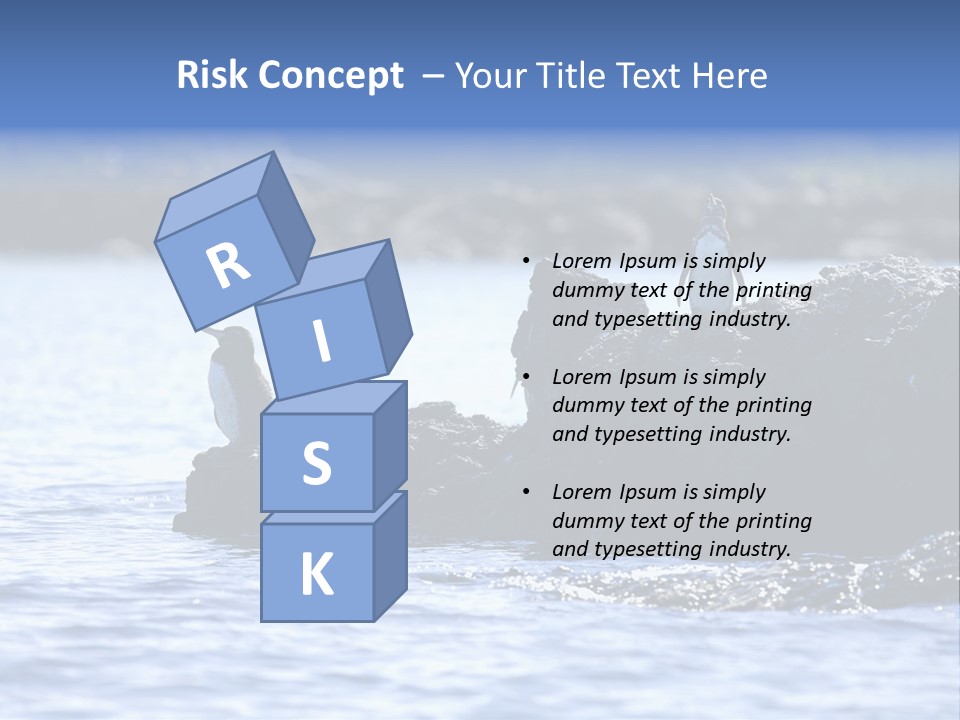 Curiosity Indigenous Bird PowerPoint Template