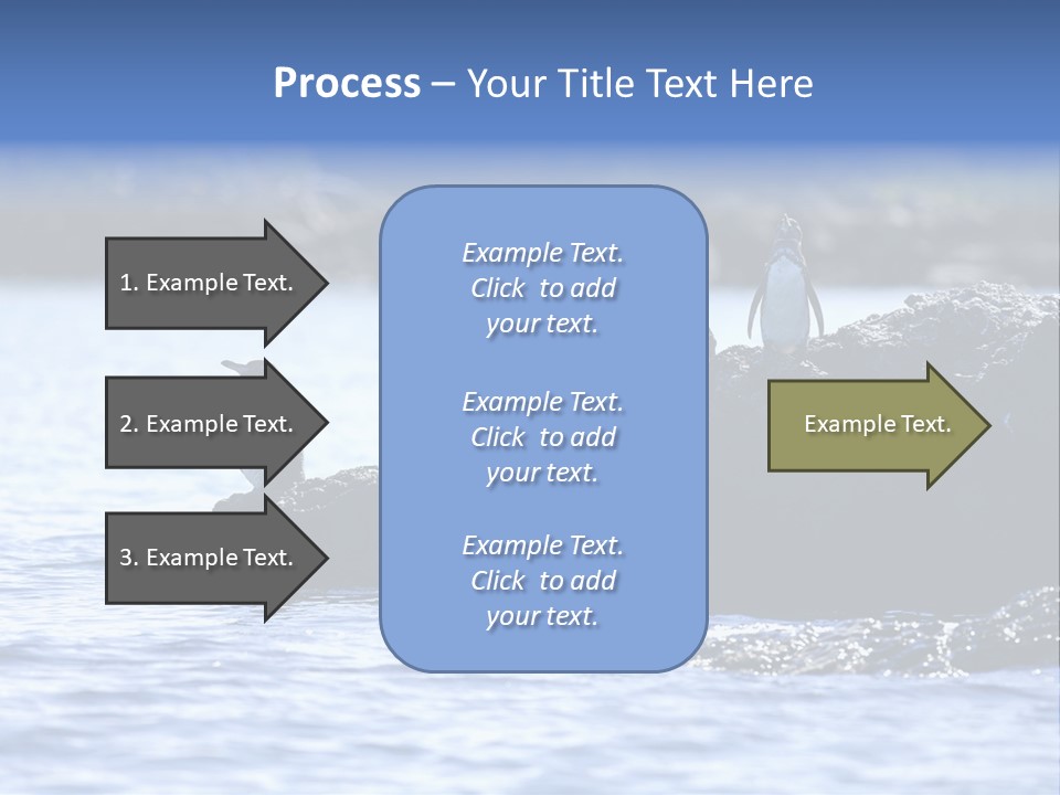Curiosity Indigenous Bird PowerPoint Template