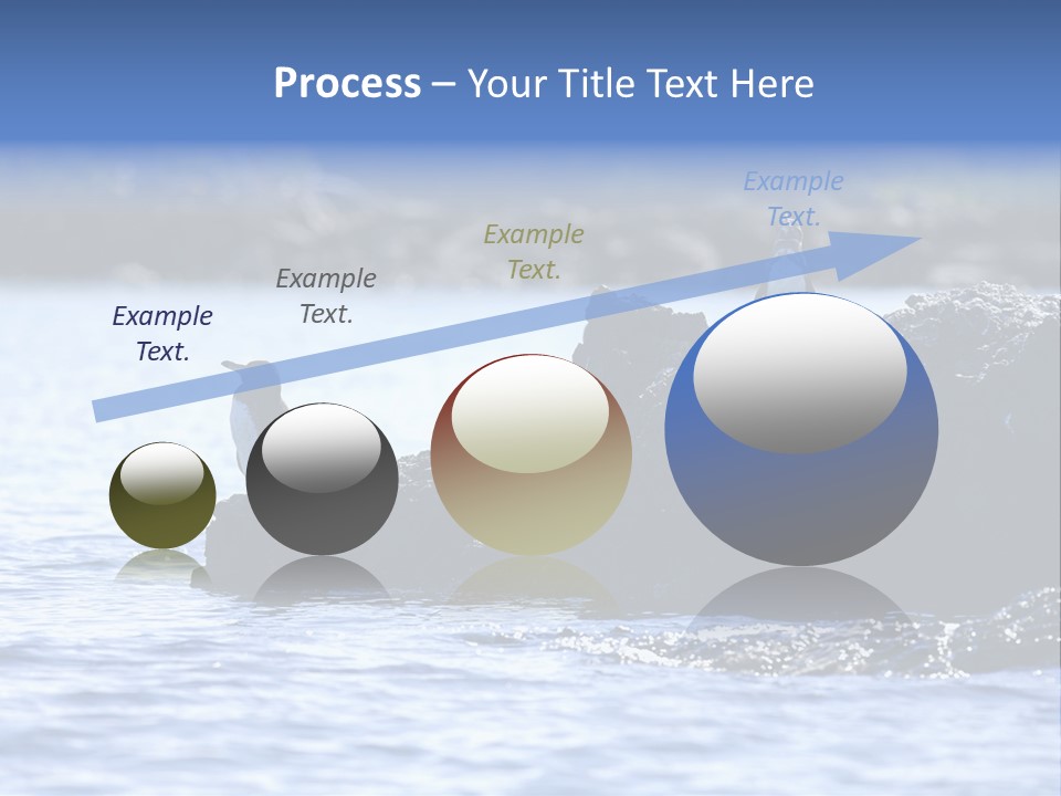 Curiosity Indigenous Bird PowerPoint Template