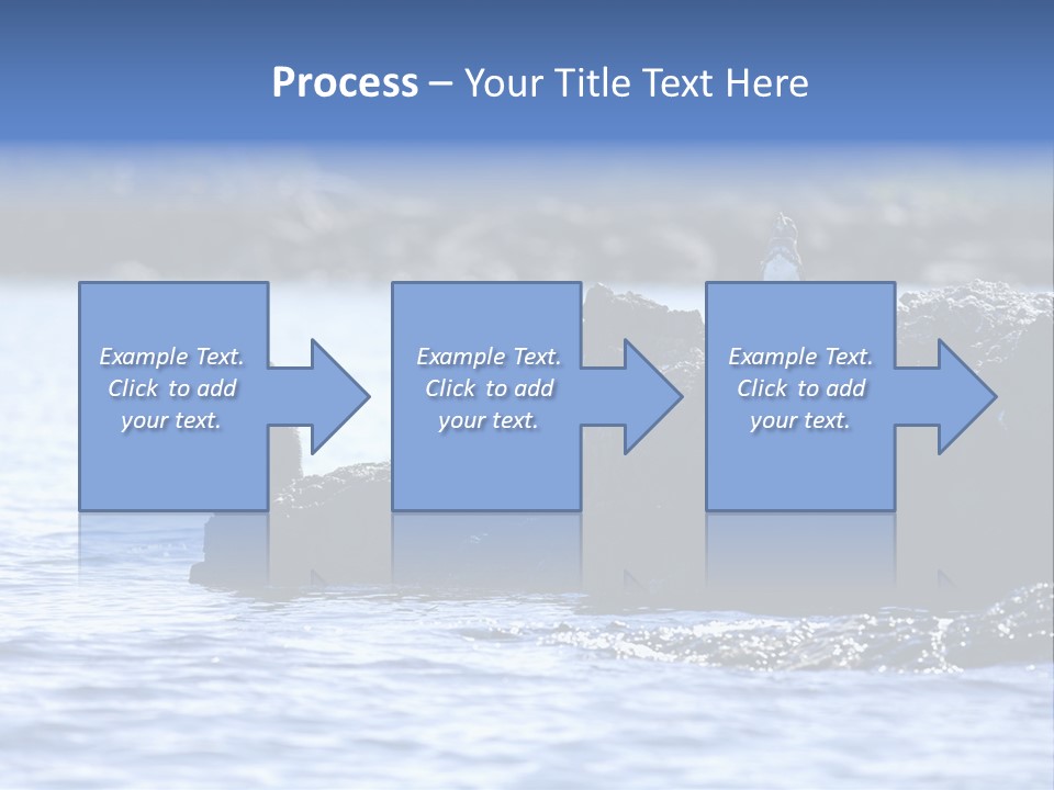 Curiosity Indigenous Bird PowerPoint Template